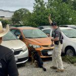 K9